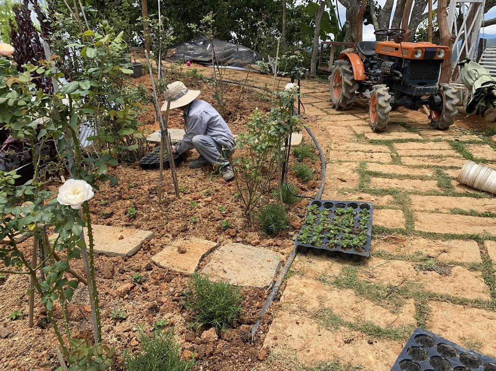 Nghỉ việc công chức, dốc tiền tích lũy làm trang trại như mơ ở Đà Lạt - 5 Nghỉ việc công chức, dốc tiền tích lũy làm trang trại như mơ ở Đà Lạt - 5