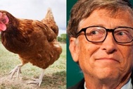 Tỷ phú Bill Gates sẽ làm gì nếu chỉ được tiêu 2 USD/ngày?