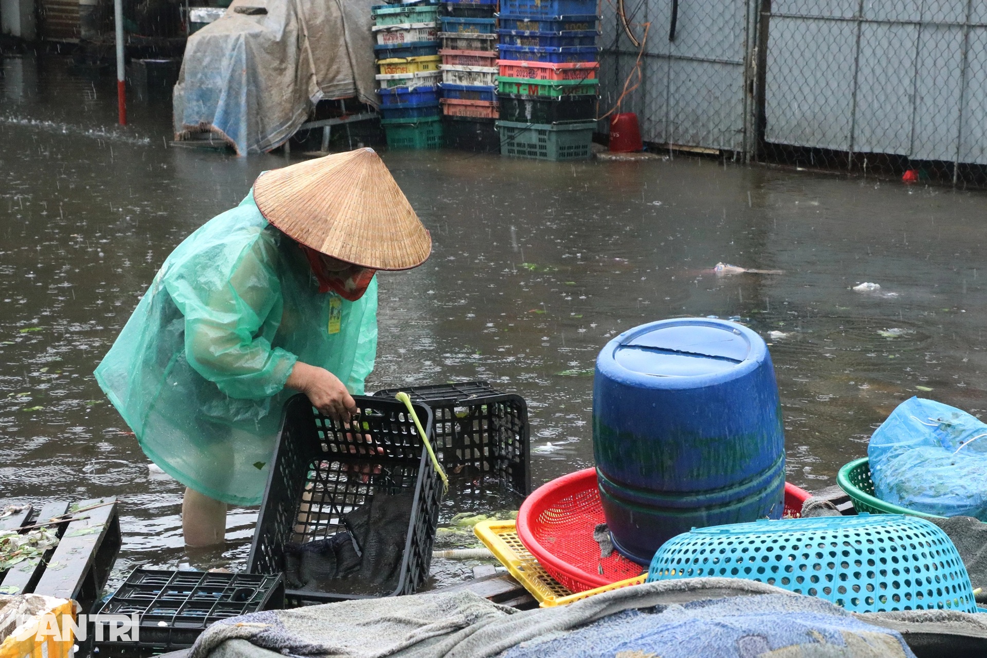 Tiểu thương chợ lớn nhất Nghệ An dầm mình trong nước nhặt từng cọng rau - 7 Tiểu thương chợ lớn nhất Nghệ An dầm mình trong nước nhặt từng cọng rau - 7