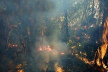 Làm xong 3km đường băng cản lửa vụ cháy rừng quốc gia Hoàng Liên