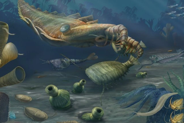 Cuộc đại tuyệt chủng xảy ra với sự sống đầu tiên trên Trái Đất ra sao?