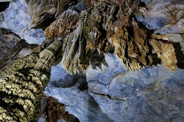 Huyền ảo động Thiên Đường