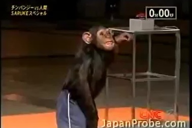 Chú tinh tinh hoàn thành xuất sắc các chướng ngại vật tại cuộc thi Sasuke