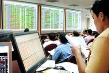 Chuyện lạ doanh nghiệp "còi" trả cổ tức khủng