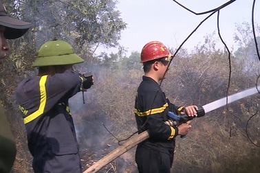 Đà Nẵng: Cháy rừng keo gần sân bay