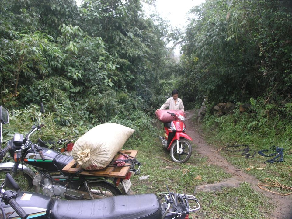 Mùa hái quả Nữ hoàng gia vị.... - 8 Mùa hái quả Nữ hoàng gia vị.... - 8