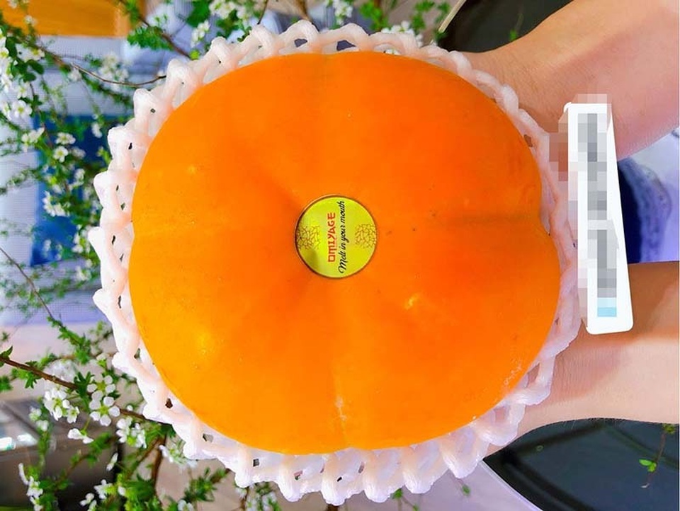 Hồng Nhật khổng lồ thơm mùi sữa, 1 triệu đồng/quả vẫn cháy hàng - 2 Hồng Nhật khổng lồ thơm mùi sữa, 1 triệu đồng/quả vẫn cháy hàng - 2