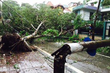 Ảnh tuần qua: Tơi bời sau bão số 1