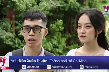 Nhiều đàn chim về Hồ Gươm làm tổ