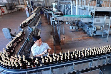 Biến động bất ngờ ở Habeco: Tạm dừng quyền điều hành của Tổng giám đốc