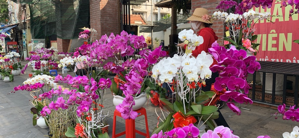 Tiểu thương quyết không giảm giá hoa dù cận Tết - 1 Tiểu thương quyết không giảm giá hoa dù cận Tết - 1