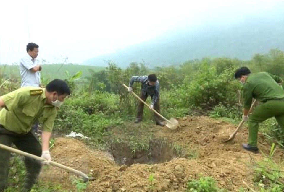 Phát hiện, tiêu hủy số lượng lớn động vật quý hiếm - 1 Phát hiện, tiêu hủy số lượng lớn động vật quý hiếm - 1