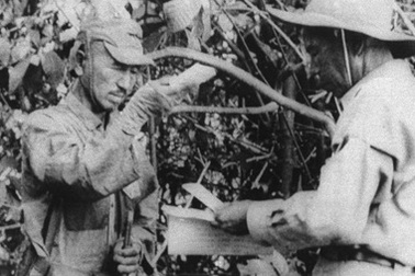 Câu chuyện lạ thường về người lính Nhật tử thủ trong rừng suốt 29 năm