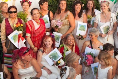 Hy hữu 70 phụ nữ Anh tổ chức "đám cưới tập thể" với cây xanh