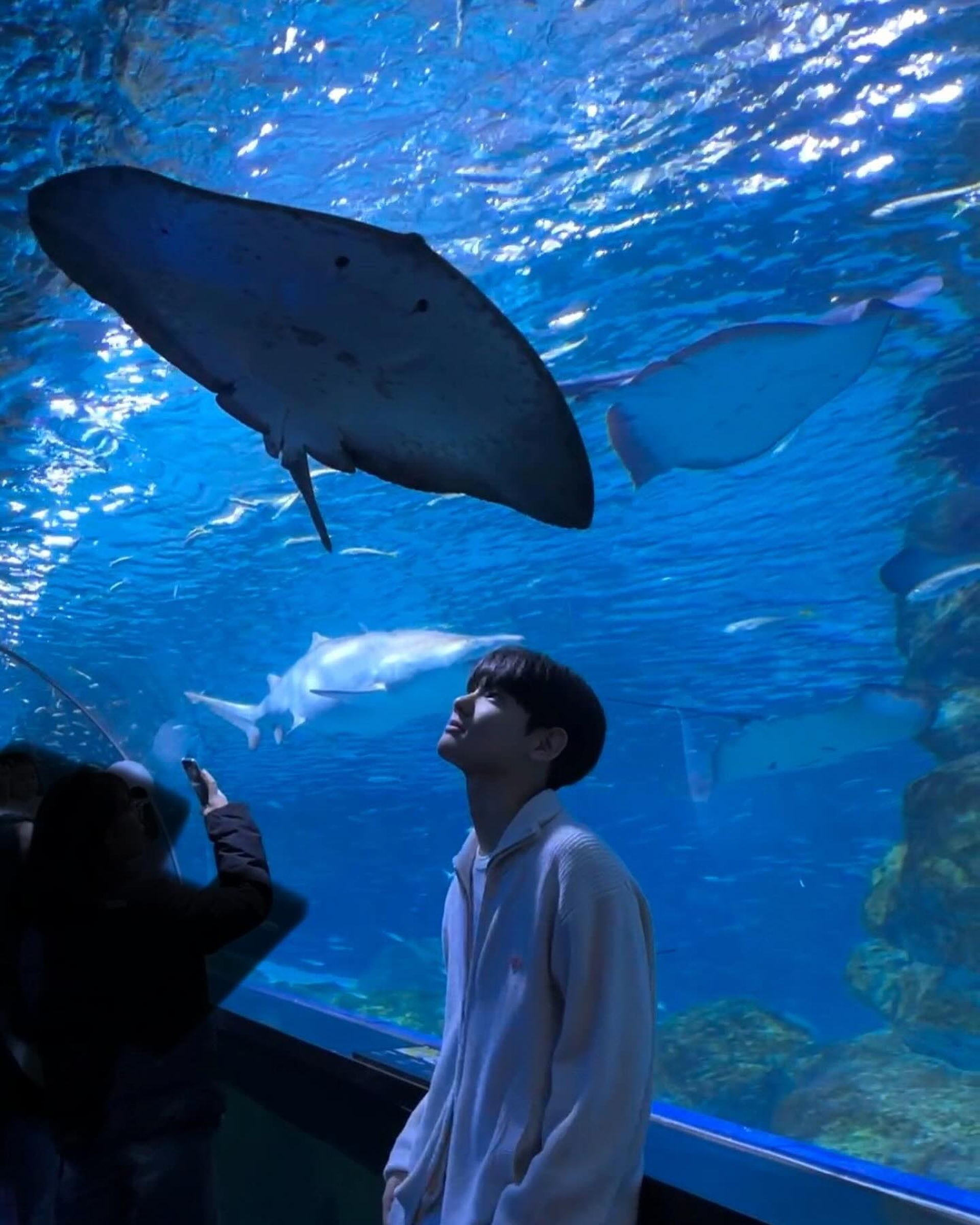 Dàn sao nhí trong MV Baby Shark nổi tiếng toàn cầu giờ ra sao? - 4 Dàn sao nhí trong MV Baby Shark nổi tiếng toàn cầu giờ ra sao? - 4