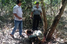 Bắt giữ 1 đối tượng trong vụ bắn chết bò tót