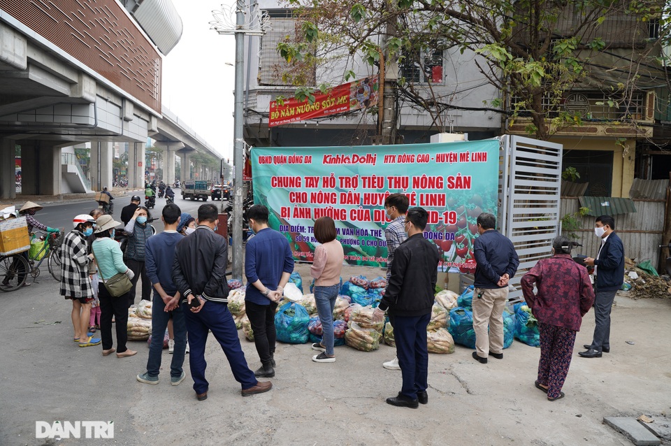 Người dân thủ đô giải cứu rau củ cho nông dân Hà Nội: Dân nào cũng thương - 1 Người dân thủ đô giải cứu rau củ cho nông dân Hà Nội: Dân nào cũng thương - 1
