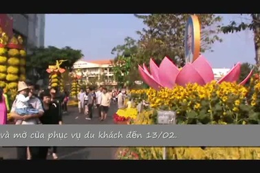 Đường hoa nghệ thuật TP Cần Thơ 2016.