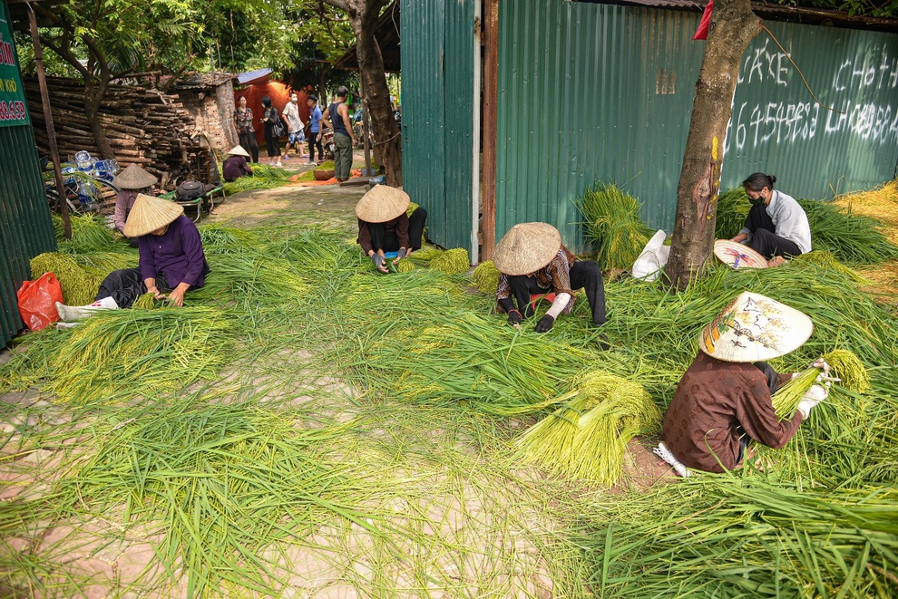Cốm Hà Nội khiến bao người phải thương nhớ - 1 Cốm Hà Nội khiến bao người phải thương nhớ - 1