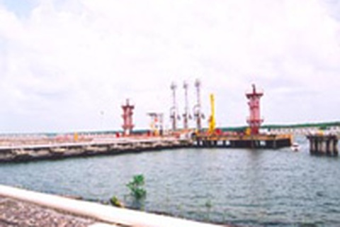 Đình chỉ công tác trưởng đoàn Thanh tra Chính phủ