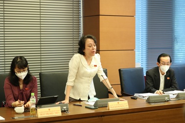 Đại biểu Quốc hội đề xuất ban bố tình trạng khẩn cấp về dịch bệnh