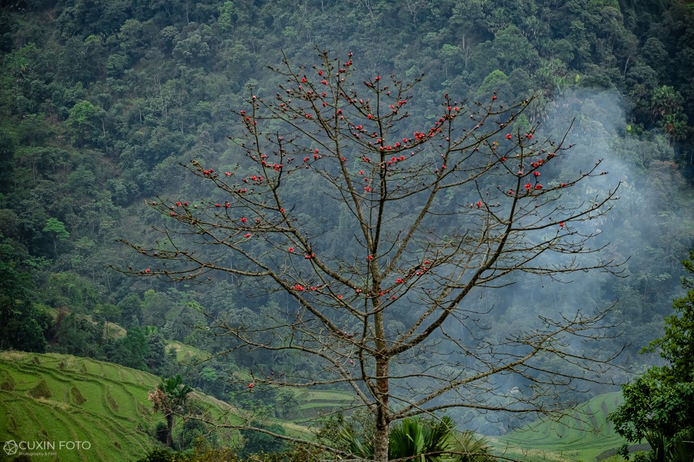 Khung cảnh yên bình, đẹp như tranh nơi bản làng ở Hà Giang - 13 Khung cảnh yên bình, đẹp như tranh nơi bản làng ở Hà Giang - 13
