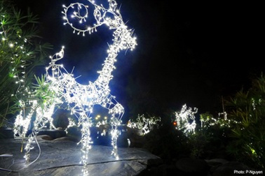 Tuyết rơi trên thành phố mới Bình Dương