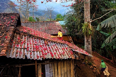 Hình ảnh thân thương ở Tây Bắc