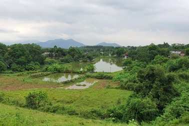 "Sốt" đất Đồng Chanh: Dân Hà Nội xếp hàng chờ chủ đất... bỏ vợ, bán nhà!