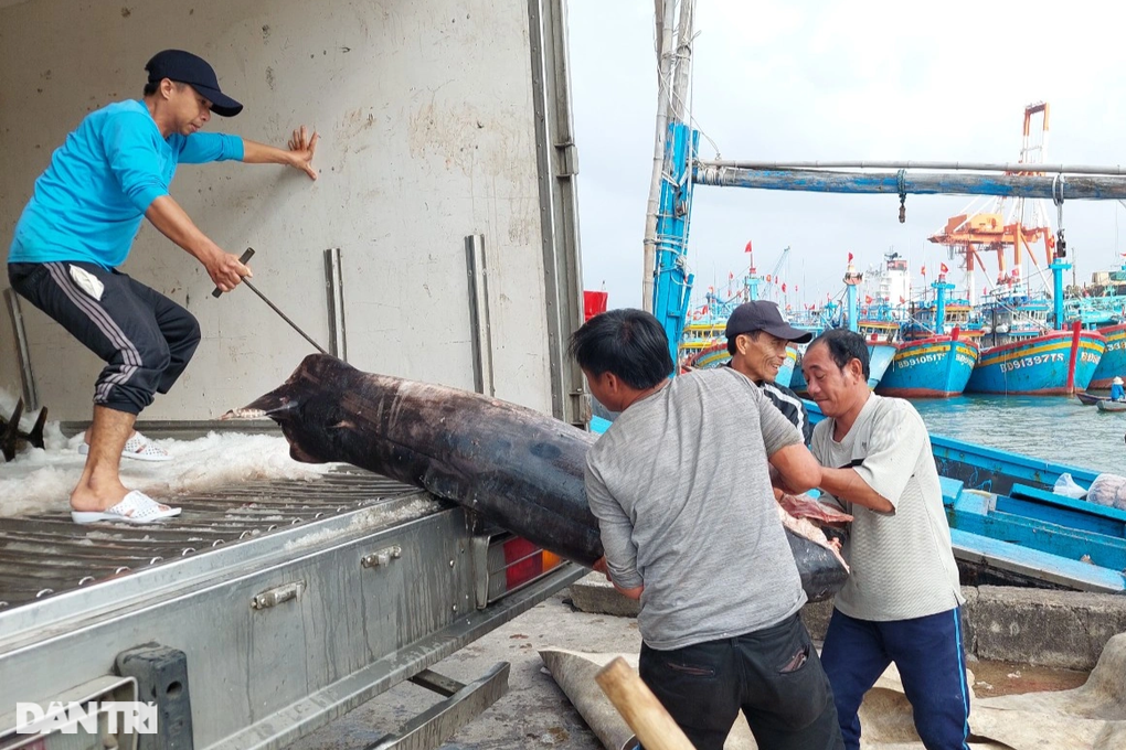 Cả Tết lênh đênh trên biển, thuyền viên ngậm ngùi vì... chỉ đủ tiền xăng - 1 Cả Tết lênh đênh trên biển, thuyền viên ngậm ngùi vì... chỉ đủ tiền xăng - 1