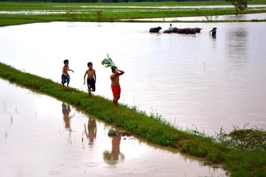 Nhớ con chim quốc gọi mùa nước lụt