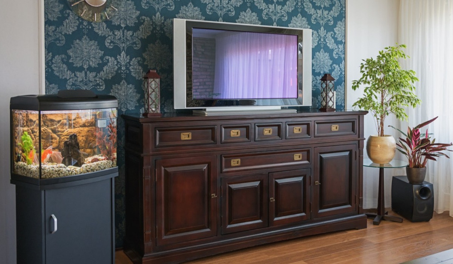 Fish Tank In Living Room Vastu