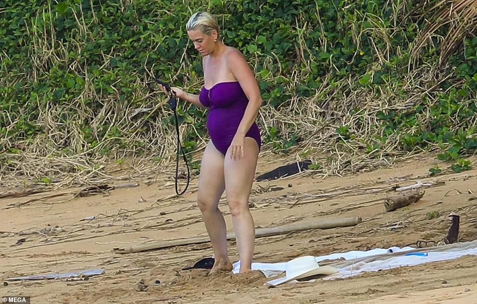 Katy Perry shows off her plump figure after giving birth - 4