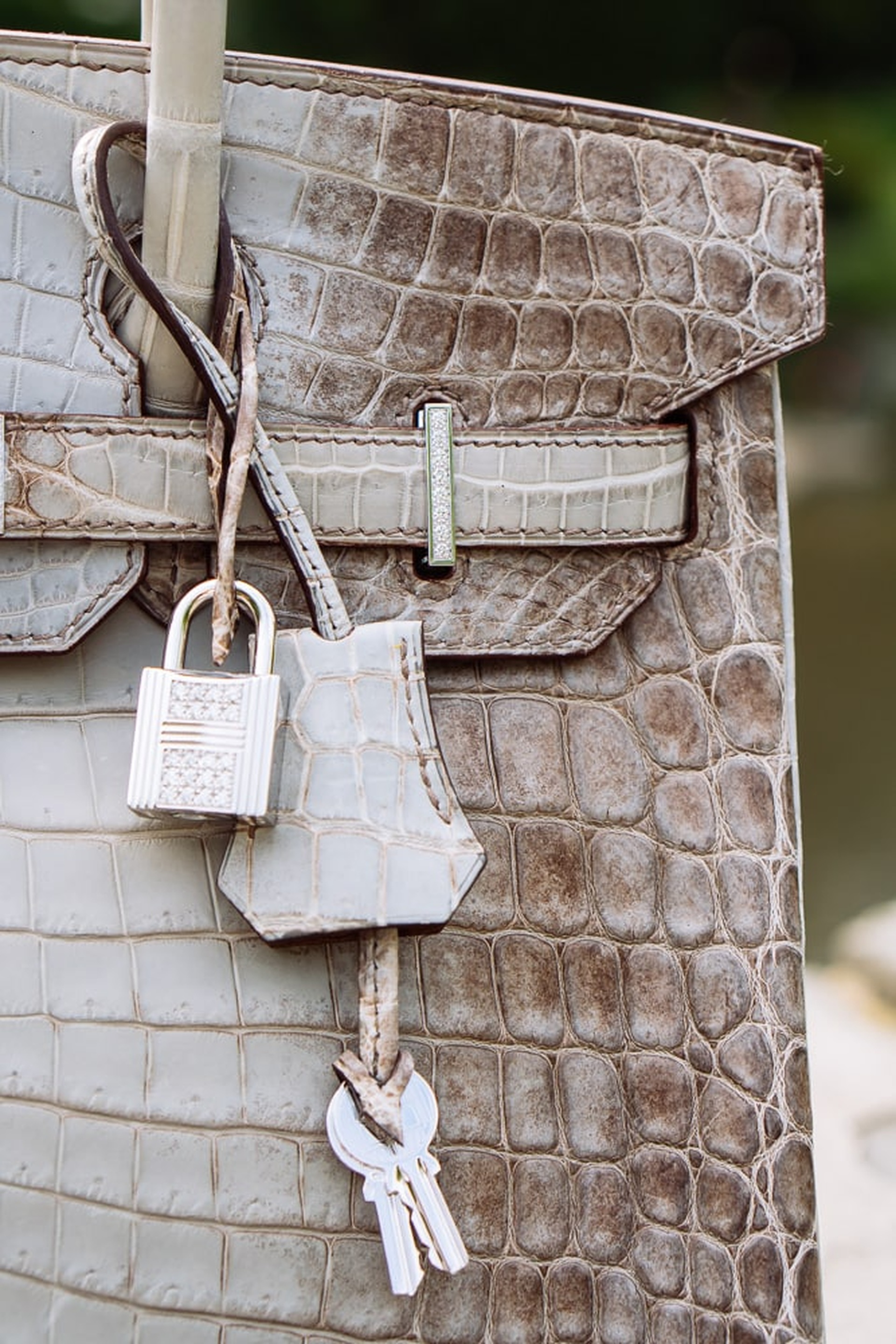 Túi Hermès da cá sấu giá tiền tỷ khiến giới siêu giàu săn lùng - 13 Túi Hermès da cá sấu giá tiền tỷ khiến giới siêu giàu săn lùng - 13