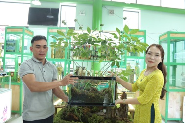 Đã có người mua cây sâm "khủng", chốt giá gần 870 triệu đồng