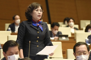 Bàn về gói kích thích kinh tế, Thống đốc nhắc bài học "xương máu" lạm phát