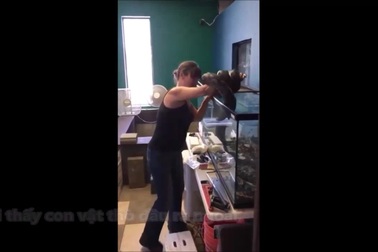Khoảnh khắc trăn gấm bất ngờ tấn công chủ khi đang được cho ăn