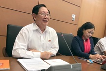 Thi tuyển chọn người để Thủ tướng bổ nhiệm Trưởng đặc khu?