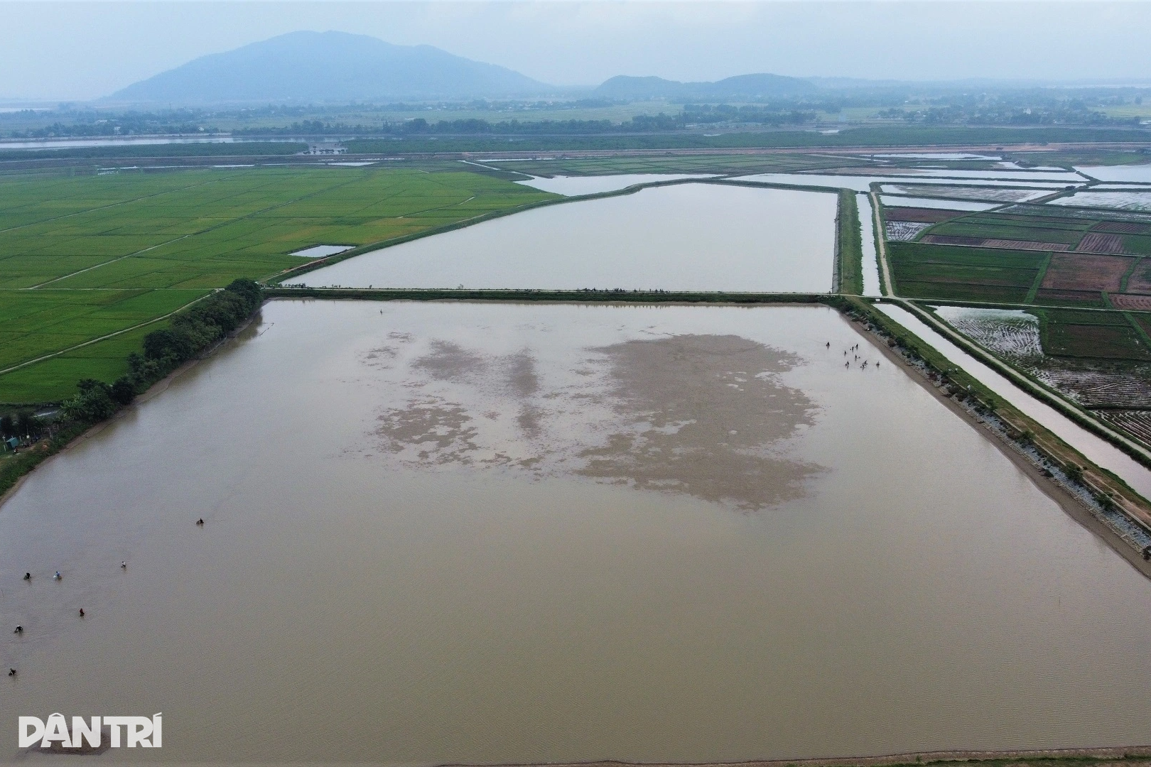 ពលរដ្ឋសម្រុកទិញសំបុត្រប្រកួតចាប់ត្រីម្ចាស់បឹងបានជិតដប់លានដុង - 5 Dân phố lũ lượt mua vé thi nhau nơm cá, chủ hồ thu gần chục triệu đồng - 5