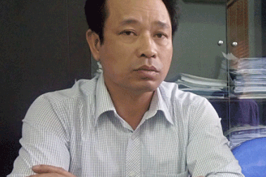 Vụ than tặc phá rừng phòng hộ: Truy trách nhiệm người đứng đầu huyện