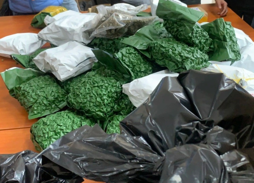 Công an Hà Nội triệt phá đường dây ma túy, thu giữ hơn 700kg cần sa - 2