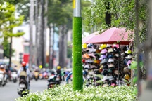 1.800 cột đèn điện ở TPHCM "mặc áo cỏ nhựa" chống quảng cáo rao vặt