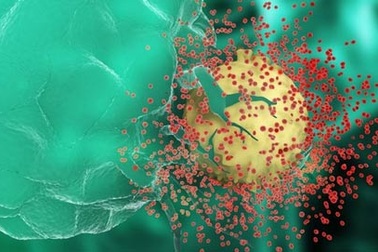 Dịch bệnh AIDS có thể được kiểm soát vào năm 2030