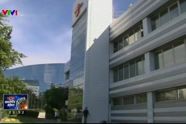 Chữa nhiễm phóng xạ bằng... nhau thai