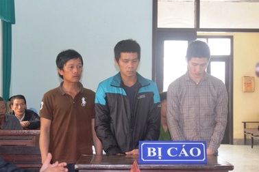 Nhóm côn đồ hành hung bác sĩ tại bệnh viện lãnh án