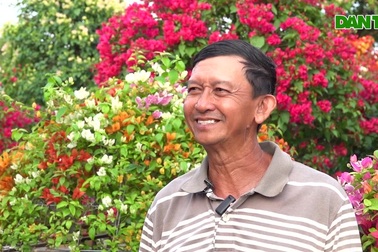 Ngắm cặp dù làm bằng hoa giấy độc lạ ở miền Tây