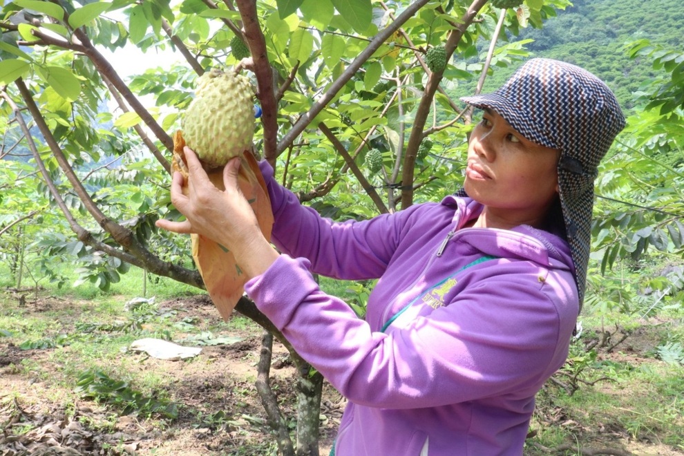 Tăng cường các mô hình hỗ trợ giúp gần 4.000 hộ phụ nữ thoát nghèo - 1