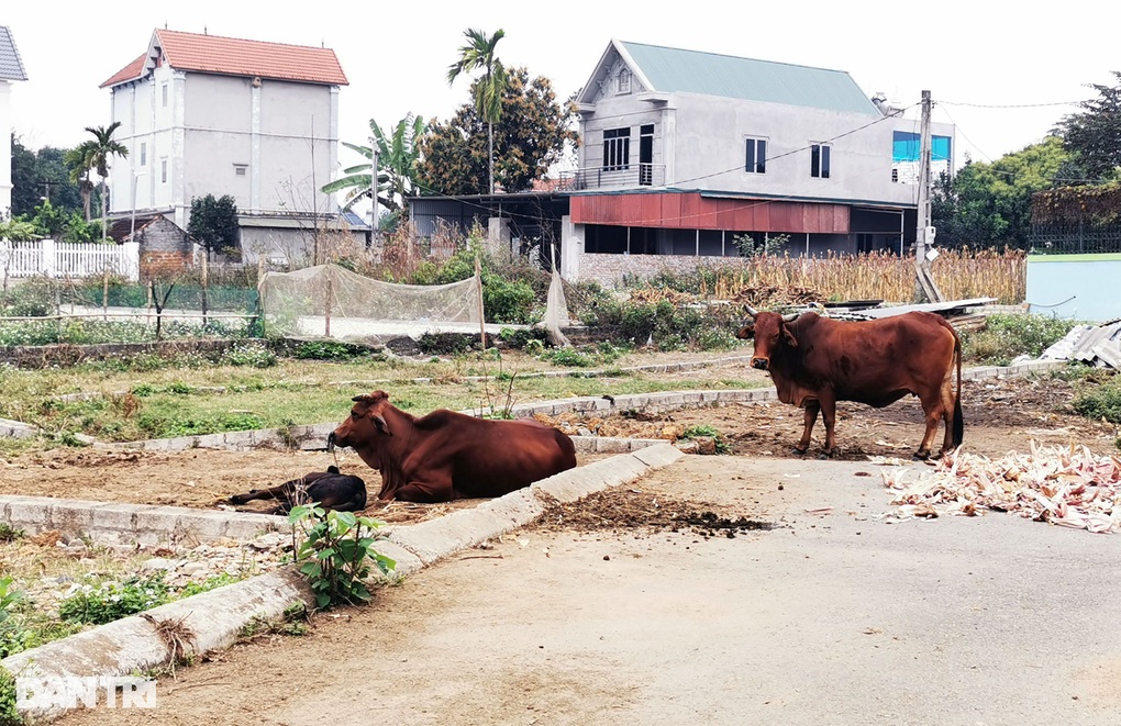 Thị trường xì hơi, giá nhà đất vùng ven Hà Nội lao dốc - 1 Thị trường xì hơi, giá nhà đất vùng ven Hà Nội lao dốc - 1