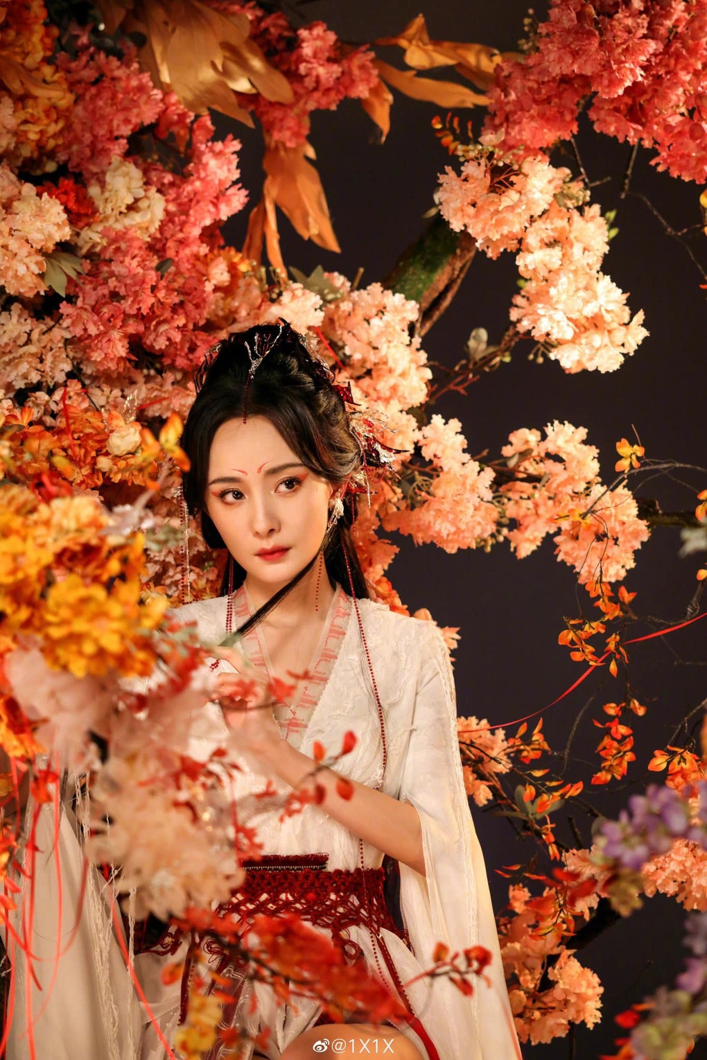 Dương Mịch phải nhập viện cấp cứu, fan đòi tẩy chay chương trình - 5 Dương Mịch phải nhập viện cấp cứu, fan đòi tẩy chay chương trình - 5