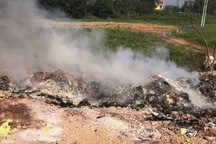 Vụ phi tang rác thải nguy hại táo tợn tại Bắc Giang: Chưa tìm ra thủ phạm!